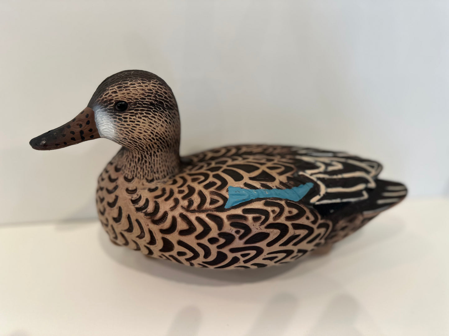 Blue Wing Teal 12pk