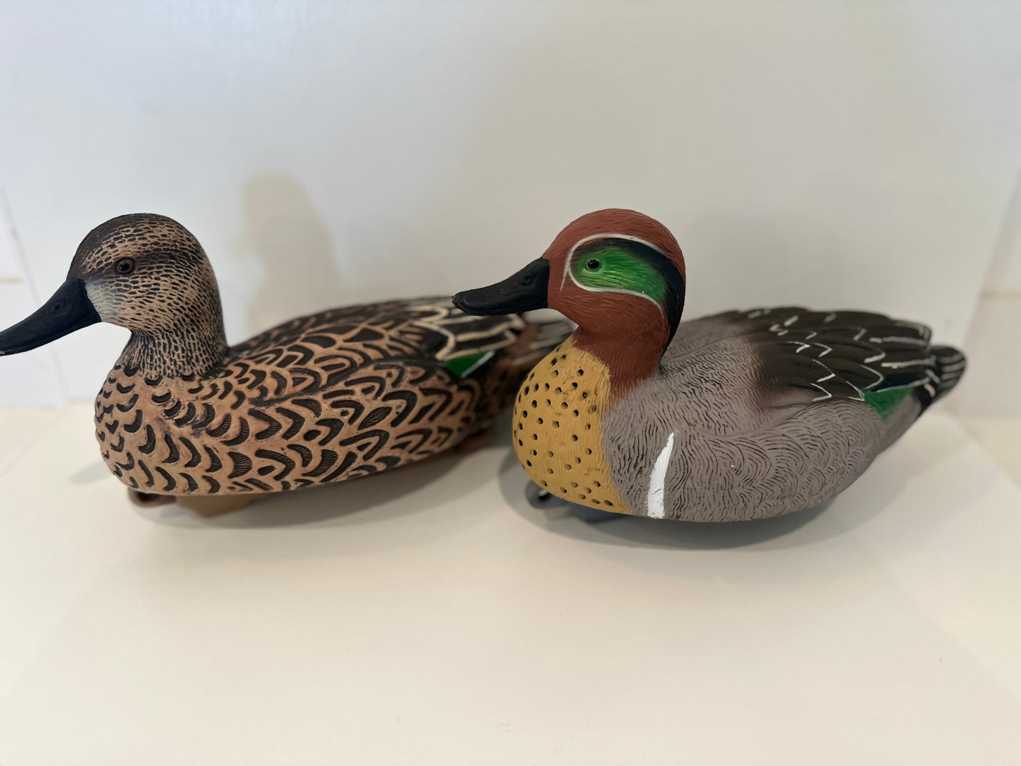 Green Wing Teal 12pk