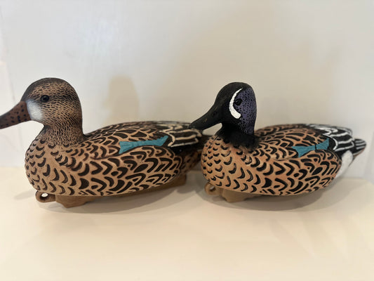 Blue Wing Teal 12pk