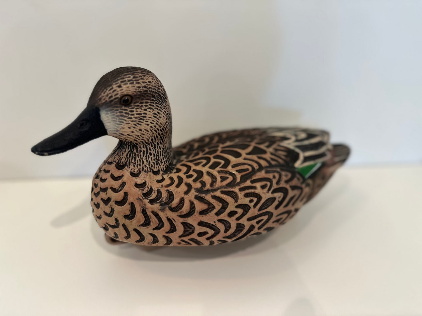 Green Wing Teal 12pk